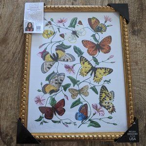 Framed butterfly art
